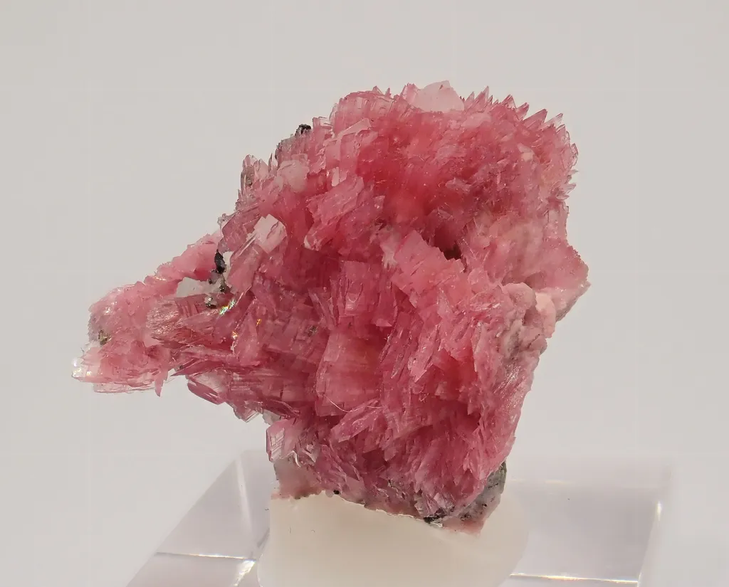 Rhodonite image