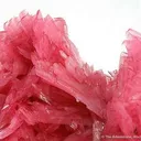 Rhodonite - image 2