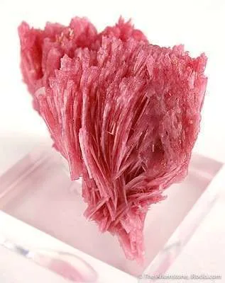 Rhodonite, Calcite - image 4