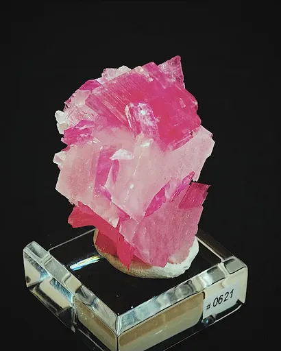 specimen video