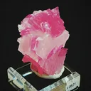 specimen video