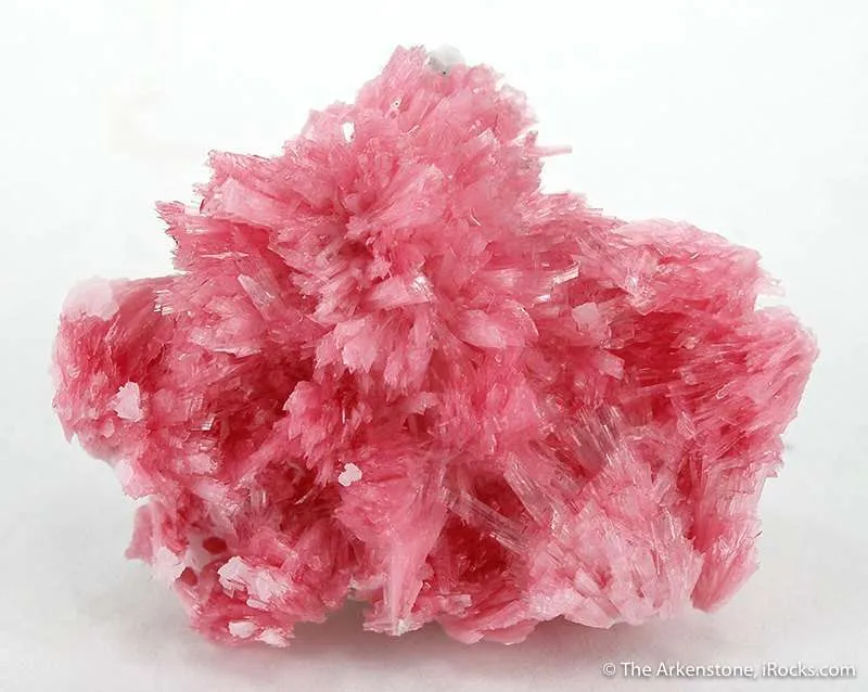 Rhodonite image