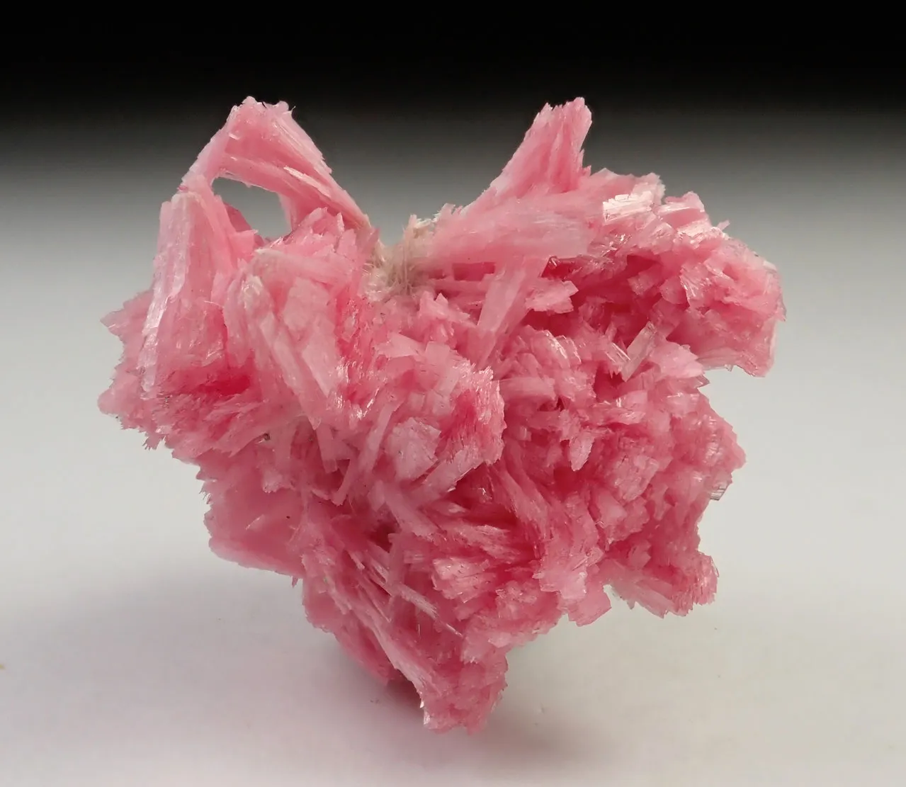 Rhodonite - image 6