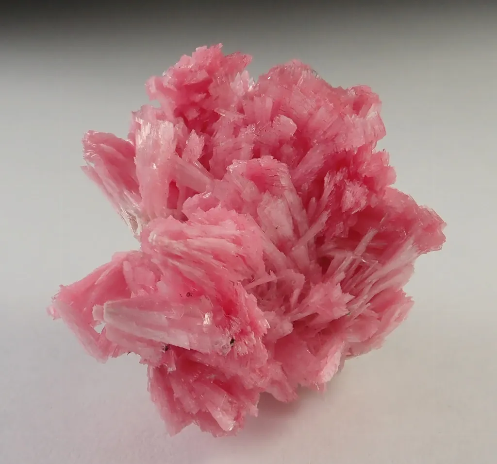 Rhodonite image