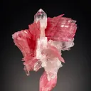 Rhodonite from San Martín Mine, Chiurucu, Ancash, Peru - image 1
