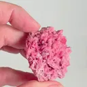 specimen video