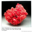 Rhodonite (Illustrated 3 Times!) - image 2