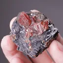 Rhodonite in Galena - image 2
