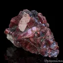 Rhodonite in Galena - image 3