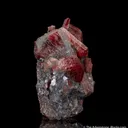 Rhodonite in Galena - image 4