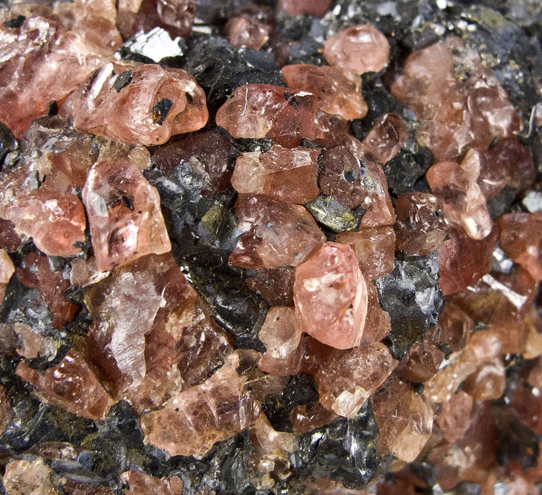 Rhodonite in Galena - image 6