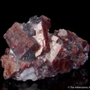 Rhodonite in Galena - image 5