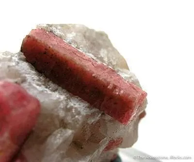Rhodonite on Calcite - image 2