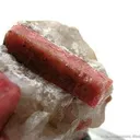 Rhodonite on Calcite - image 2