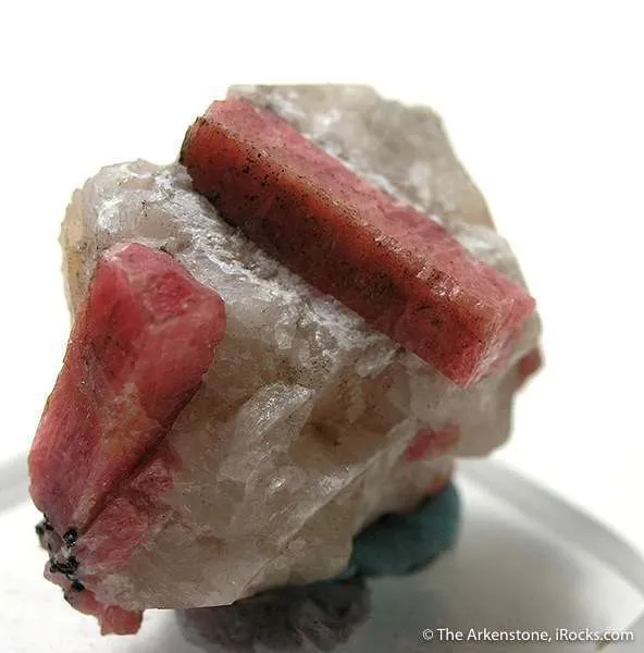 Rhodonite on Calcite image