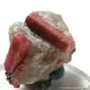 Rhodonite on Calcite - image 1