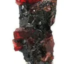 Rhodonite on Galena - image 3