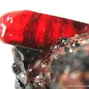 Rhodonite on Galena - image 4