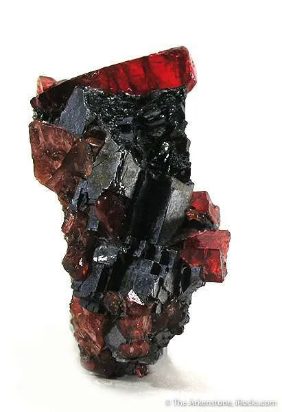 Rhodonite on Galena image