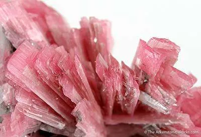 Rhodonite, Quartz - image 2