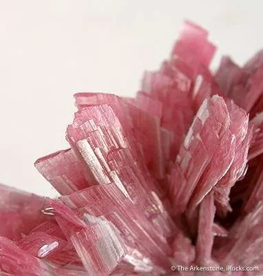 Rhodonite, Quartz - image 4