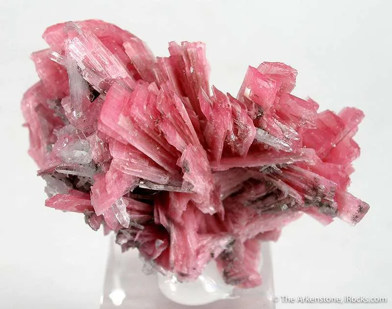 Rhodonite, Quartz - image 1