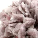 Rhodonite, Quartz, Calcite - image 2