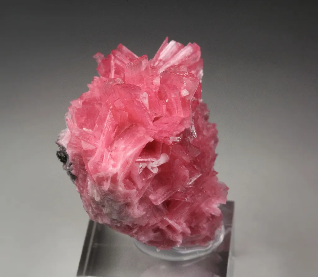 RHODONITE, QUARTZ from Peru, Ancash, Chiurucu, San Martín Mine - image 2