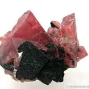 Rhodonite Twin With Bannisterite - image 1