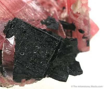 Rhodonite Twin With Bannisterite - image 3