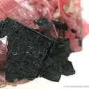 Rhodonite Twin With Bannisterite - image 3