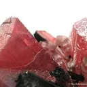 Rhodonite Twin With Bannisterite - image 2