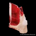 Rhodonite with Calcite - image 1