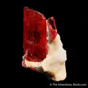 Rhodonite with Calcite - image 5