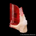 Rhodonite with Calcite - image 4