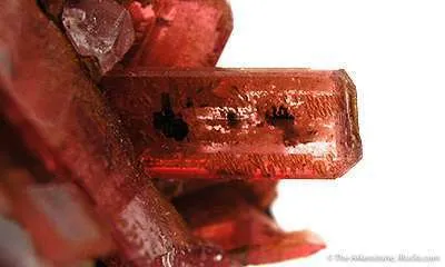 Rhodonite With Calcite - image 2