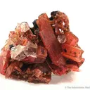 Rhodonite With Calcite - image 1