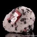 Rhodonite with Franklinite in Calcite - image 5