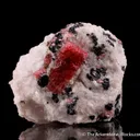 Rhodonite with Franklinite in Calcite - image 4
