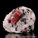 Rhodonite with Franklinite in Calcite - image 3