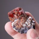 Rhodonite with Galena - image 2