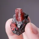 Rhodonite with Galena - image 2