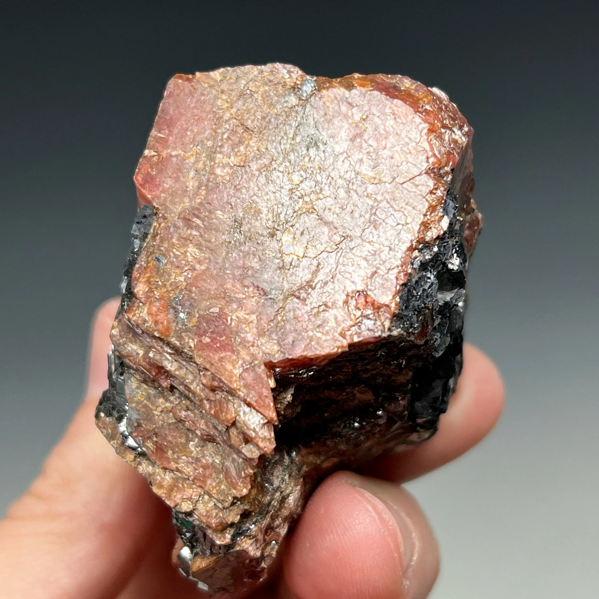 Rhodonite with Galena - image 4