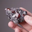 Rhodonite with Galena - image 2