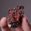 Rhodonite with Galena - image 2