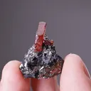Rhodonite with Galena - image 2