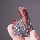 Rhodonite with Galena - image 2