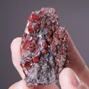 Rhodonite with Galena - image 2