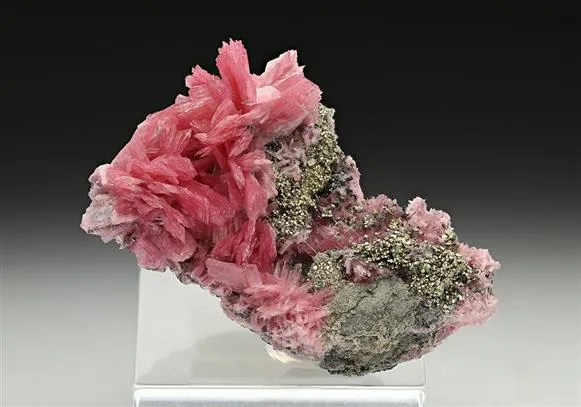 Rhodonite with Pyrite image
