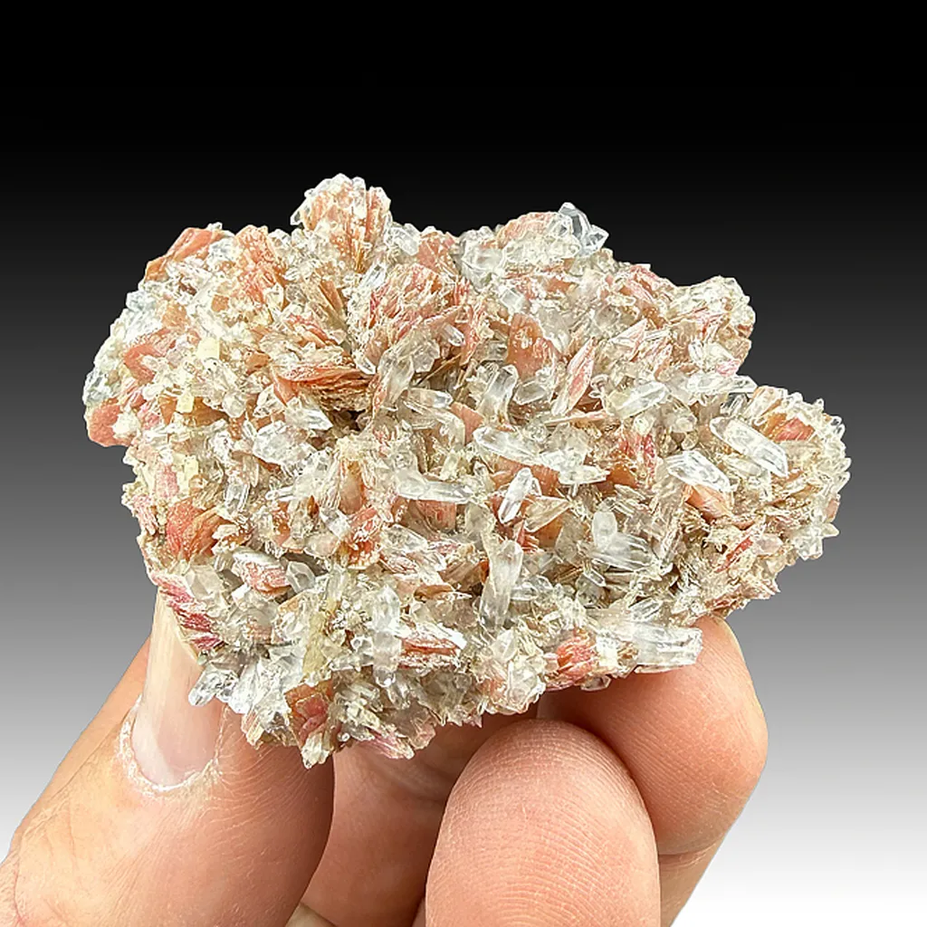 Rhodonite with Quartz image